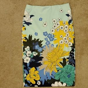 New York &Co skirt